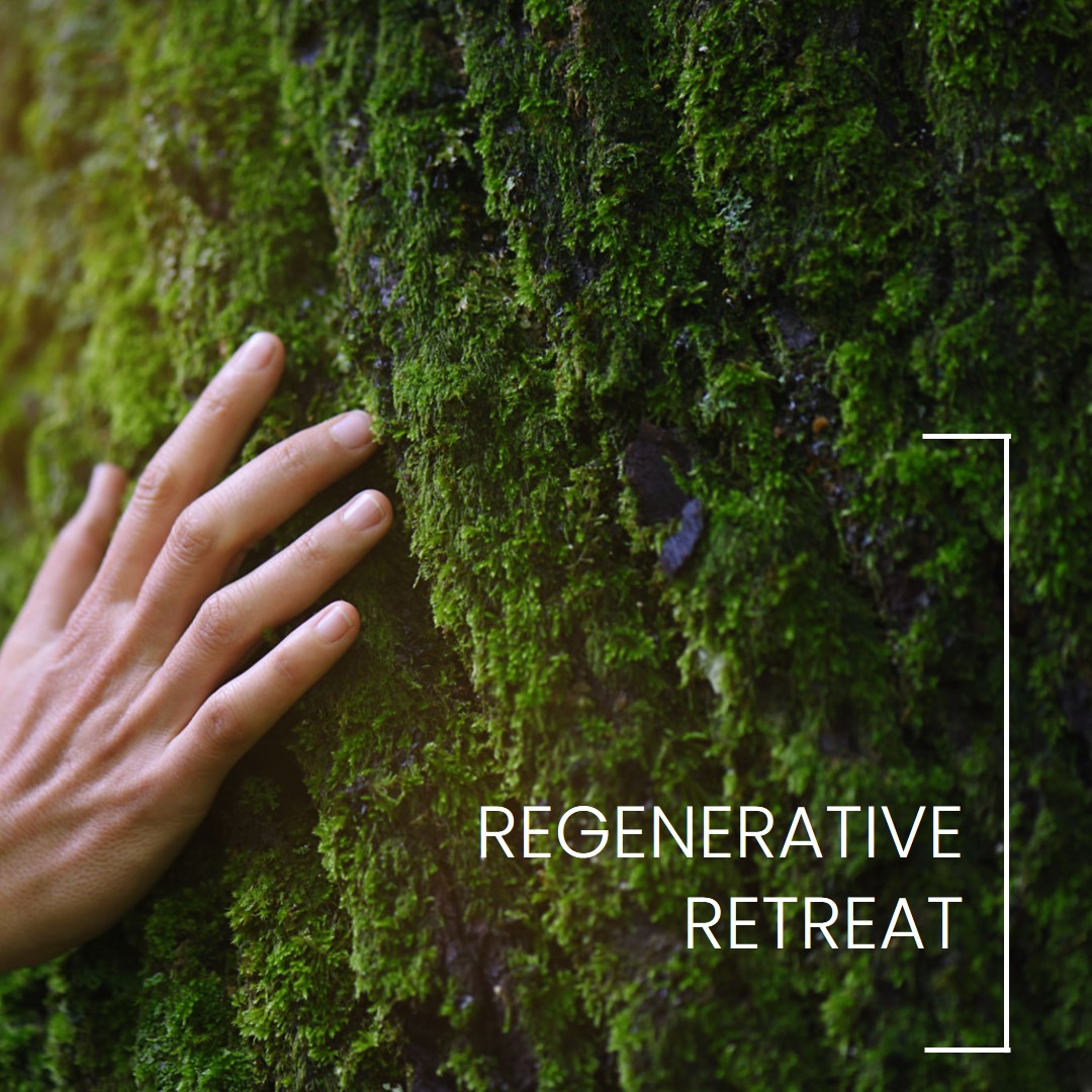 Regenerative Travel Holidays Personal Loan